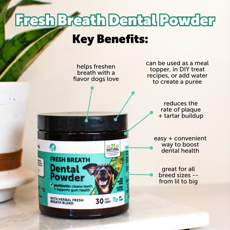 Dental Powder