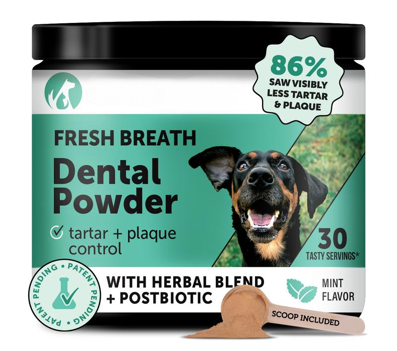 Dental Powder