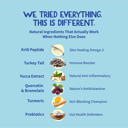 Daily 8 Allergy Chews