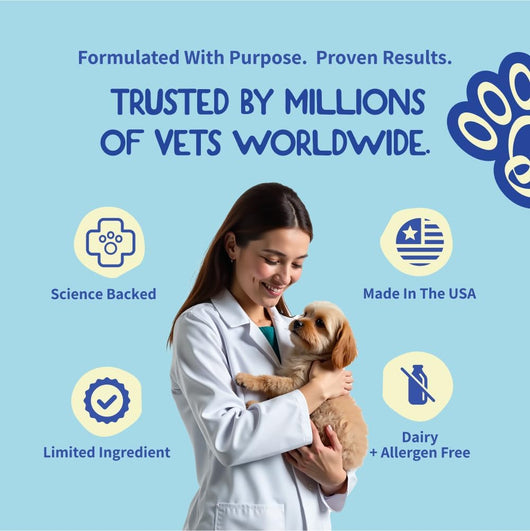 Daily 8 Allergy Chews