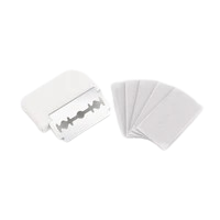 Razor Blades (10)