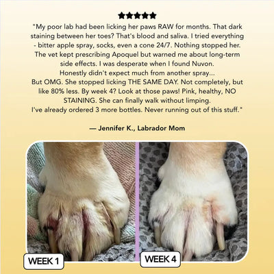 Our Vet-Backed Skin Relief Spray