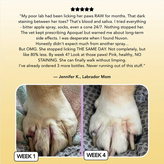 Our Vet-Backed Skin Relief Spray