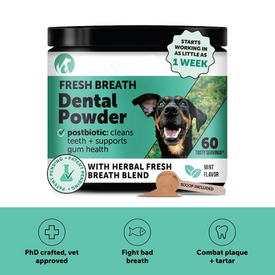 Dental Powder