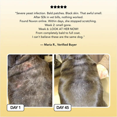 Our Vet-Backed Skin Relief Spray