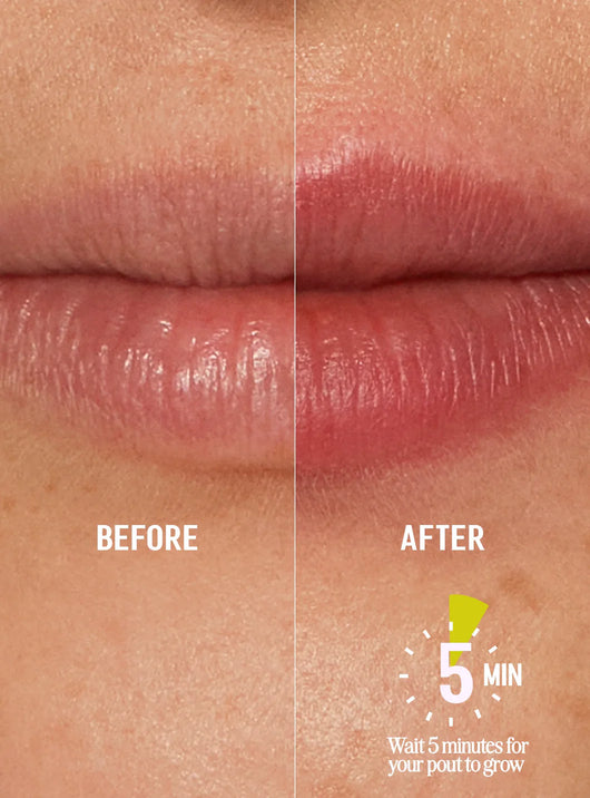 Lip Line Perfector