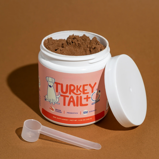 Turkey Tail™