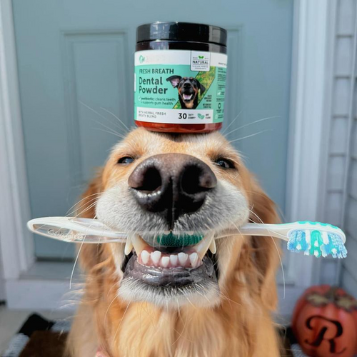 Dental Powder