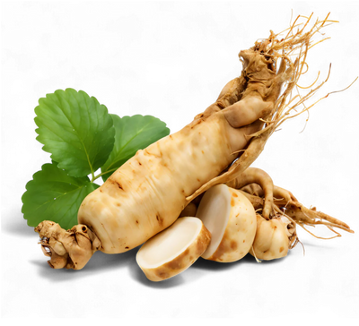GINSENG EXTRACT